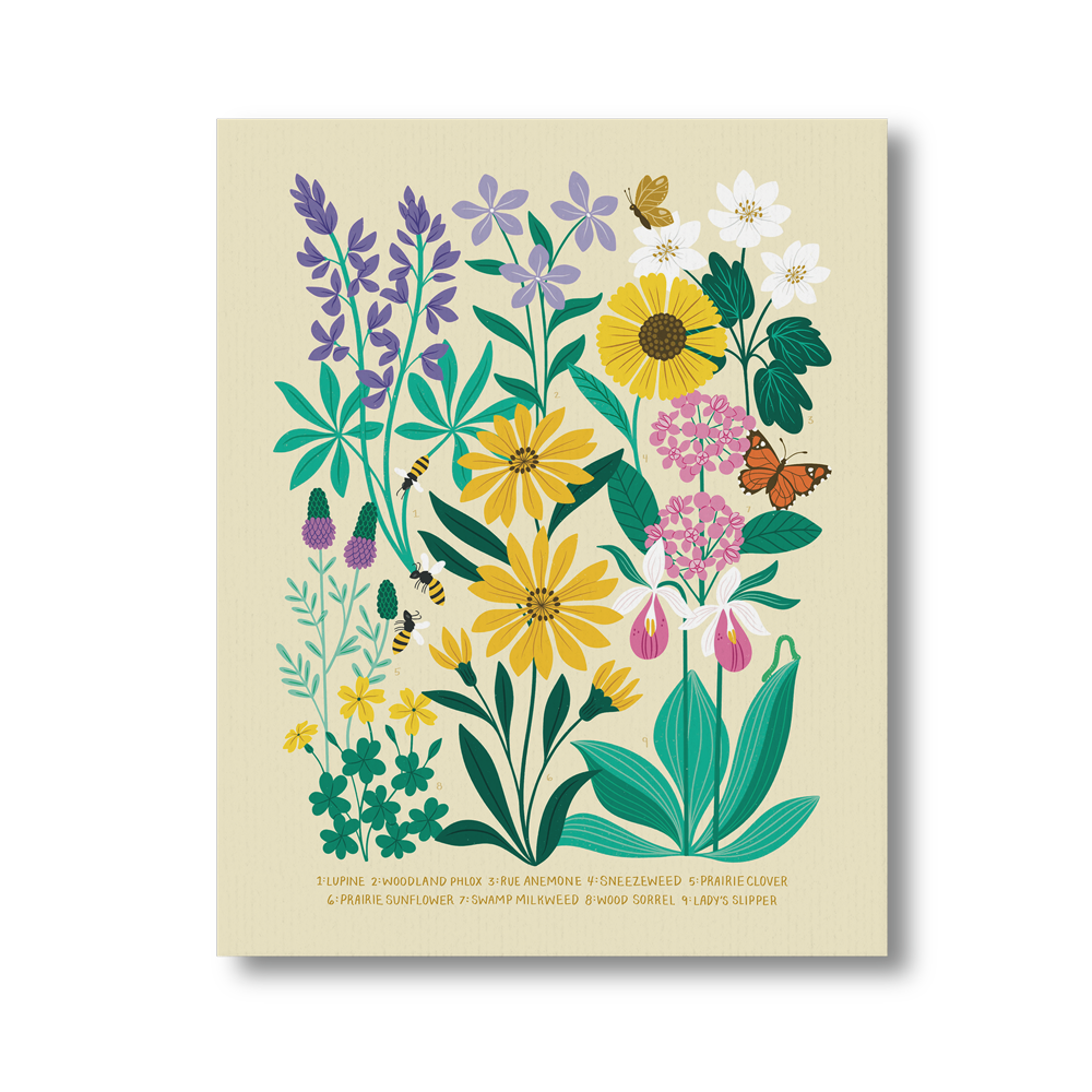 Minnesota Prairie Flowers Art Print
